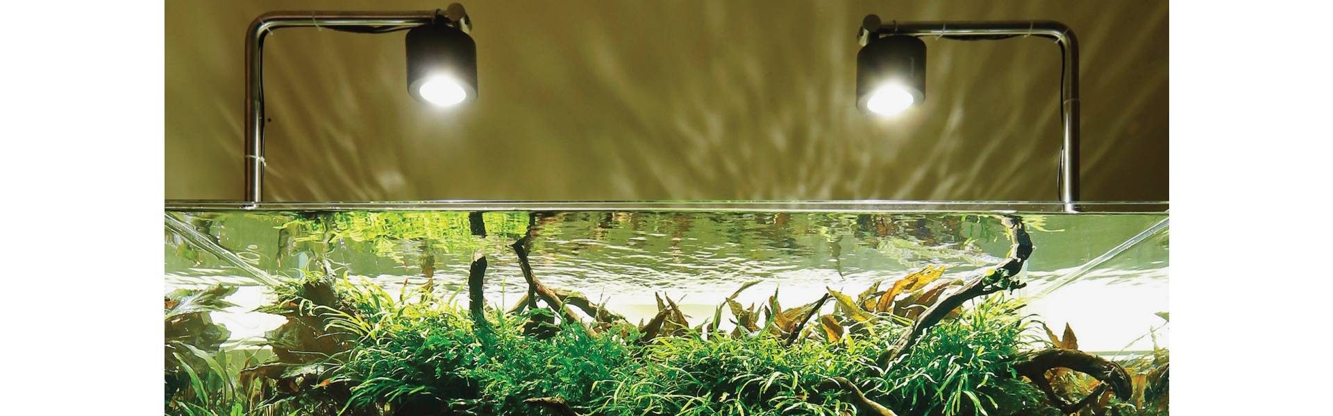 Aquascaper Plant Food